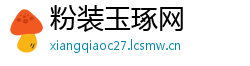 粉装玉琢网